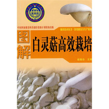 图解白灵菇高效栽培