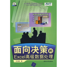 面向决策的Excel高级数据处理(配VCD光盘1张)