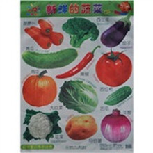 阳光宝贝布艺挂图：新鲜的蔬菜