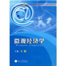 微观经济学（高级应用型）