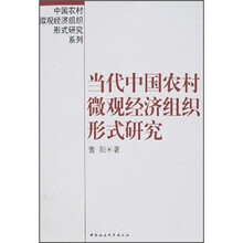 中国农村微观经济组织形式研究系列：当代中国农村微观经济组织形式研究