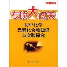 专项大过关·初中化学:元素化合物知识与实验探究