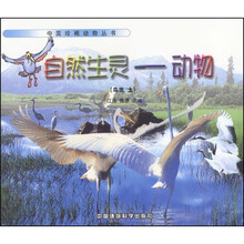 自然生灵:动物(鸟类)(上)