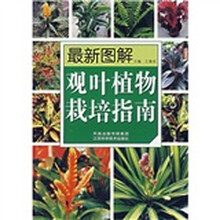 最新图解观叶植物栽培指南
