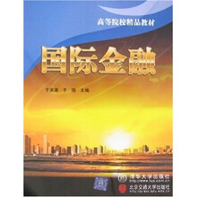 高等院校精品教材：国际金融