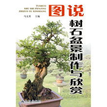 图说树石盆景制作与欣赏