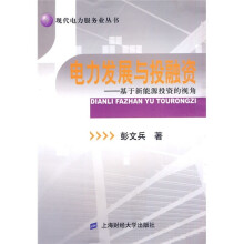电力发展与投融资:基于新能源投资的视角