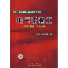 电力行业高技能人才培训系列教材：电气试验工（适用于技师高级技师）