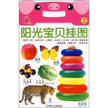 阳光宝贝挂图2