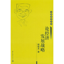 与林老师对话：论经济发展战略