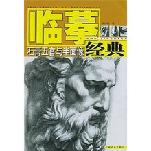 石膏五官与半面像