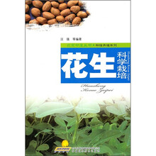 花生科学栽培