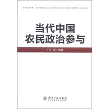 当代中国农民政治参与