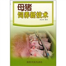 母猪饲养新技术