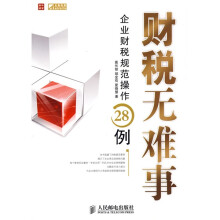 财税无难事：企业财税规范操作28例