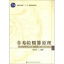 普通高等教育十一五国家级规划教材：非寿险精算原理