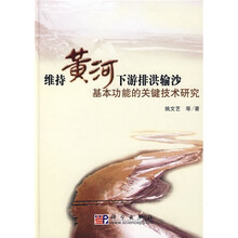 维持黄河下游排洪输沙基本功能的关键技术研究