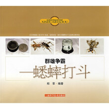 群雄争霸：蟋蟀打斗（附光盘）
