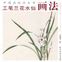 工笔兰花水仙画法