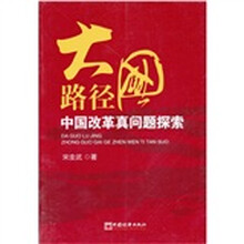 大国路径：中国改革真问题探索