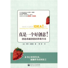 真是一个好创意！：创造卓越创意的思维方法