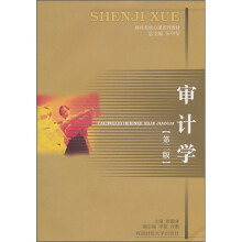 财经类核心课系列教材：审计学（第2版）
