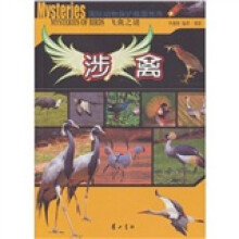 飞禽之谜:涉禽