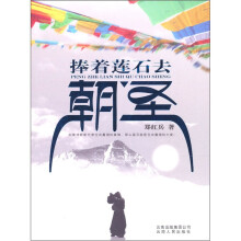 捧着莲石去朝圣