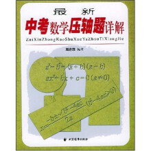 最新中考数学压轴题详解