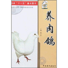 养肉鸽