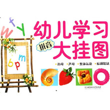 幼儿学习大挂图：拼音
