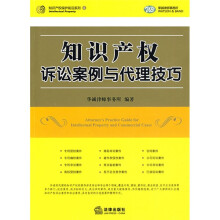 知识产权诉讼案例与代理技巧