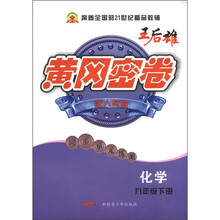 黄冈密卷·同步单元练测：化学（9年级下）（配人教版）