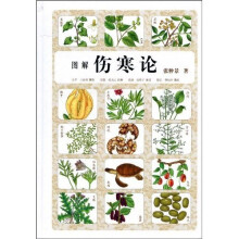 图解伤寒论
