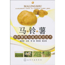 马铃薯良种繁育与高效栽培技术