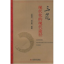 三农现代化的现代途径