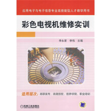 应用电子与电子信息专业高技能型人才教学用书：彩色电视机维修实训