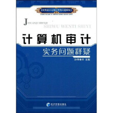 计算机审计实务问题释疑