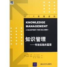 知识管理：有效实施的蓝图（CIO管理进阶）