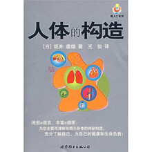 人体的构造