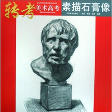 转考美术高考：素描石膏像