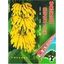 香蕉高效益栽培技术140问