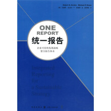 统一报告:企业可持续发展战略整合报告体系