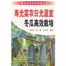 寿光菜农日光温室冬瓜高效栽培