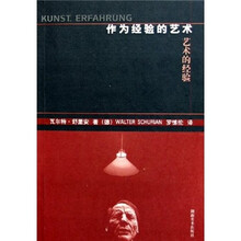 作为经验的艺术
