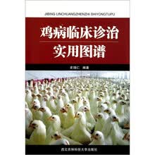 鸡病临床诊治实用图谱
