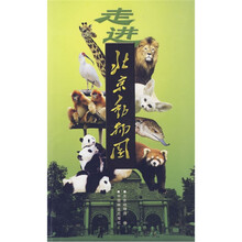 走进北京动物园