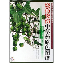 烧伤烫伤中草药原色图谱