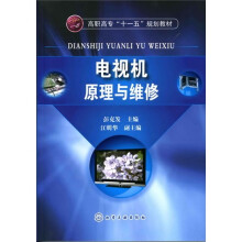 高职高专“十一五”规划教材：电视机原理与维修