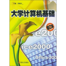 大学计算机基础(增订本)